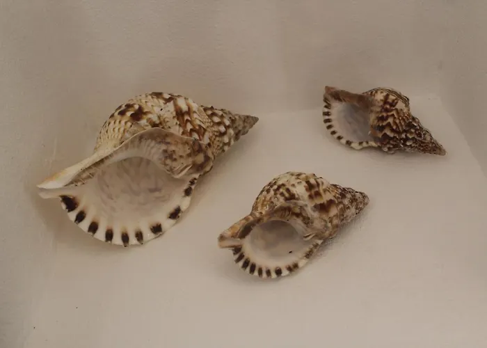 Hotel Breeze House *